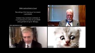 I’m not a cat says lawyer after Zoom filter mishap  ImNotACat [upl. by Ginnifer31]