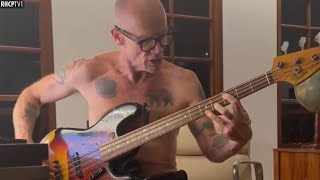 Flea Playing Jaco Pastorius Incredible [upl. by Mair]