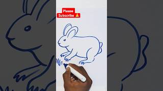 Rabbit Drawing  art sketch shorts [upl. by Ileak]