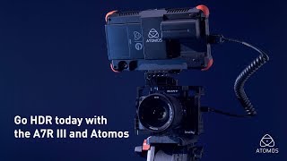 Sony A7R III and Atomos Flame 4K monitor recorder for amazing Log and HDR video [upl. by Yoj]