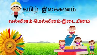 Learn Tamil thru English  Tamil Grammar  Vallinam Mellinam Idaiyinam  வல்லினம் மெல்லினம் இடையினம் [upl. by Renba]