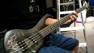 Traben Array Attack Bass [upl. by Ellennod]