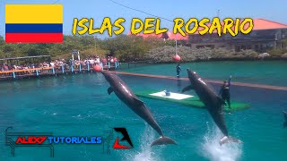 Show Delfines Islas del Rosario 2020 Cartagena [upl. by Neehar]