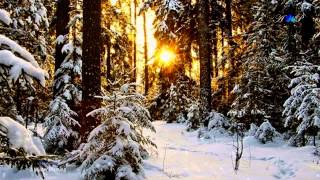 ♡ A Winter Morning  FIONA JOY relaxing music [upl. by Eisler867]