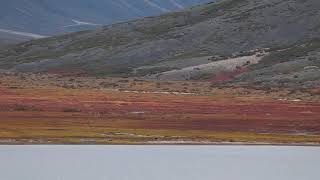 Anadyr Highlands in Chukotka 2020 [upl. by Rozalin]