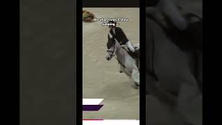 Ahhh can we get the bill Olympics equestrian showjumper viralvideo [upl. by Ecnaralc]