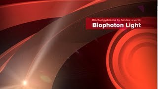 Johan Boswinkel Interview  Biontology  Biophoton light therapy  CHIREN [upl. by Corty]