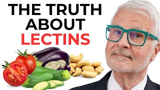 Dr Gundry on Lectins  What Lectins Can do to YOUR Health  Inflammation amp Leaky Gut [upl. by Neelasor]