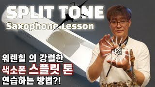 류수현 색소폰 레슨 스플릿 톤 amp 칼톤 Split Tone Saxophone Lesson [upl. by Coraline]