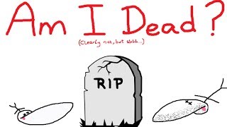 Is GradeAUnderA Dead Where Tf Have I Been [upl. by Shirlie32]