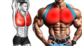 6 Effective Exercises to Build a Huge Chest [upl. by Hanako]