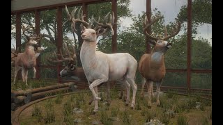 Albino Great One Whitetail Spawn theHunterCOTW [upl. by Stephana]