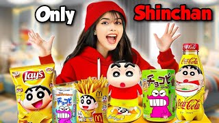 Using only SHINCHAN things for 24 Hours [upl. by Kirkwood]