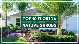 10 Most Popular Florida Native Shrubs to Brighten Up Your Space 💚🌿👌 [upl. by Evy]