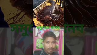 সমুদ্রের দানব 👹 See Monster  YouTube short  short  viral short  Reaction [upl. by Bel]