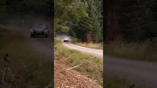 Meirion Evans SS2 Finglennie 1 Grampian Forest Rally 2024 [upl. by Cherida]