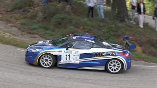 Rallye de Sarrians 2024 GonzagaCammarata RCZ [upl. by Sirap]