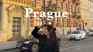 🇨🇿1월1일 체코 프라하에서 보내기까를교크리스마스마켓쇼핑오페라 [upl. by Rafat]