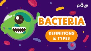 Bacteria Definition amp Types  Primary School Science Animation [upl. by Calesta22]