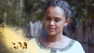 ሙሉ ክፍል 1 – አደይ  ክፍል 1  አቦል ቲቪ – Adey  Season 1  Episode 1  Abol TV [upl. by Todd]