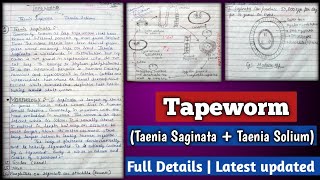 Tapeworm  Taenia Saginata  Taenia Solium   Tapeworm  Morphology Eggs Life cycle and Diagrams [upl. by Nayrb]