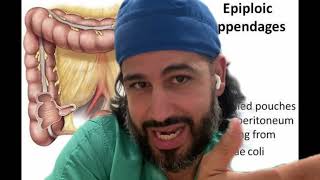 Epiploic Appendage Appendagitis [upl. by Narmi]