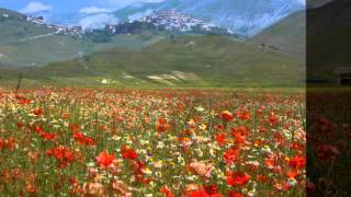 Castelluccio di Norciafioritura 2013 [upl. by Lilithe]