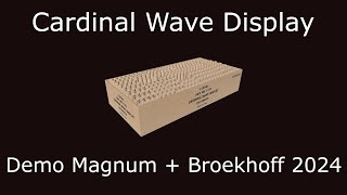 Cardinal Wave Display  Vuurwerk Demo Magnum  Broekhoff 2024 [upl. by Nealey]