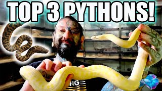 The Top 3 BEST Australian Beginner Snakes [upl. by Odnavres]