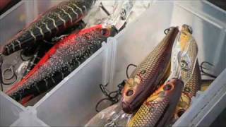 Trolling Berkley Flicker Shads for Open Water Walleyes  Season 6 [upl. by Akinahc113]