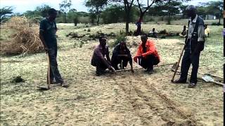 Building a soil bund to prevent soil erosion and conserve water [upl. by Uwton237]