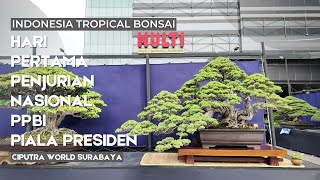 Hari pertama penjurian nasional PPBI Piala Presiden Bonsai 2024 [upl. by Noyerb]