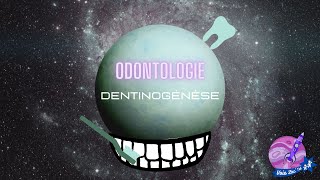 TTR S2PASSLASUET3  Odontologie  Dentinogenese 3 [upl. by Aleedis]