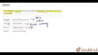 Erythropoietin hormone which stimulates erythropoiesi formation of RBC is secreted by  11  C [upl. by Halland]