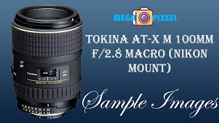 Tokina ATX M 100mm f28 Macro for Nikon DSLRs  Sample images [upl. by Ailahtan]