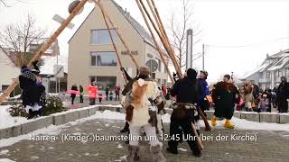 Narrensprung am Sonntag 22012023 in UlmEinsingen [upl. by Ennahs]