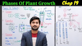 Phases of growth Chapter 19 class 12  Zone of cell division elongation and maturation [upl. by Semmes189]