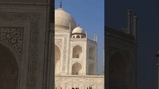 Taj Mahaltajmahal agravideo no copyright disclaimer 🙏 watching video [upl. by Fonda]