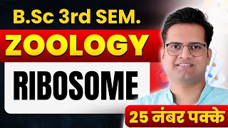 RibosomesBSc 3rd Semester ZoologyBe DKDian [upl. by Dellora646]