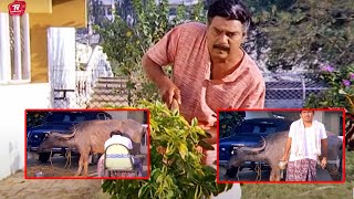 Brahmanandam amp Kota Srinivasa Rao Funny Cow Scene  TeluguVideoZ [upl. by Jordan]