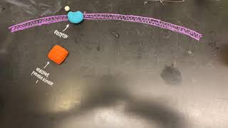 Phosphorylation cascade [upl. by Ahcsatan]