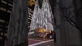 The arrival of the iconic Rockefeller Center Christmas Tree 2024 SmartHERNews [upl. by Shalne553]