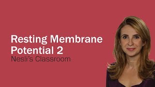 Resting Membrane Potential lecture part 2 [upl. by Hairim376]