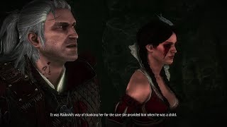 How Philippa Eilhart went blind  The Witcher 2 [upl. by Ainecey151]