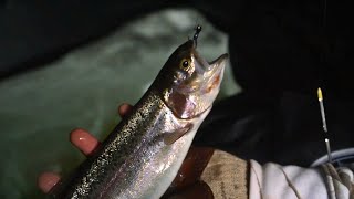 Sight Fishing Trout Through the Ice [upl. by Atiuqrahc329]