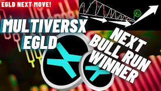 MultiversX EGLD Crypto Coin The Next Bull Run Winner [upl. by Devine836]