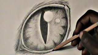 StepbyStep Drawing a Cat Eye [upl. by Naget76]