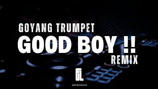 GOOD BOY  GOYANG TRUMPET REMIX 2024🔥 [upl. by Dalli282]