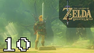 The Master Sword Breath of the Wild Part 10  AverageGameGuides [upl. by Iccir904]