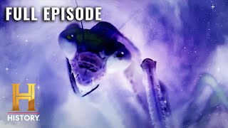 Ancient Aliens INSECT GODS OF DEEP SPACE S7 E7  Full Episode [upl. by Ahsikyt458]